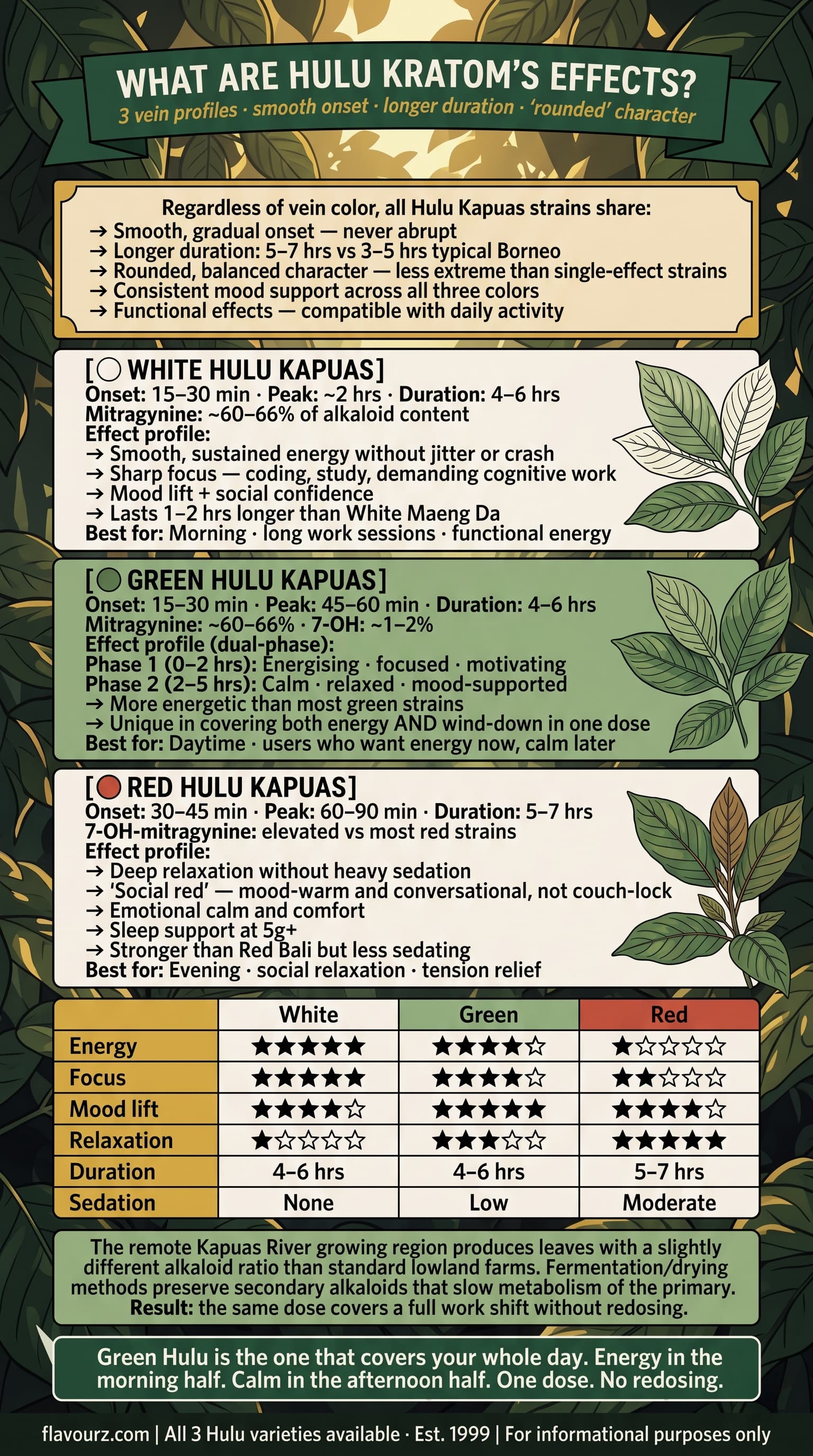 infographic for What Are Hulu Kratom's Effects